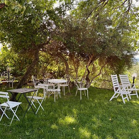 Green Leaves Verona Dış mekan fotoğraf