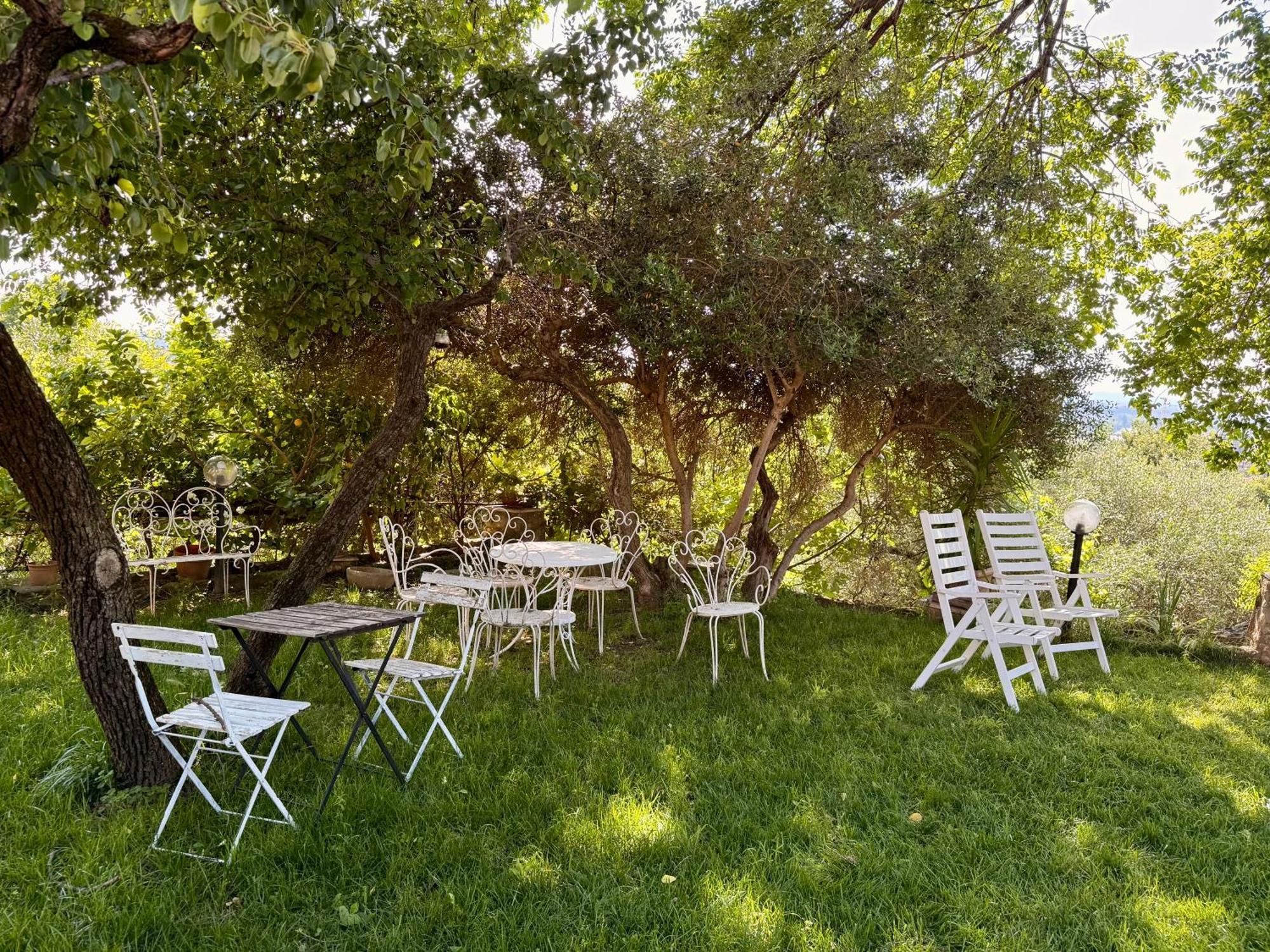 Green Leaves Verona Dış mekan fotoğraf